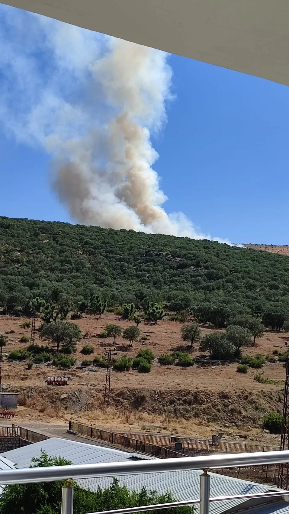 Silvan'da orman yangını ekipleri harekete geçirdi