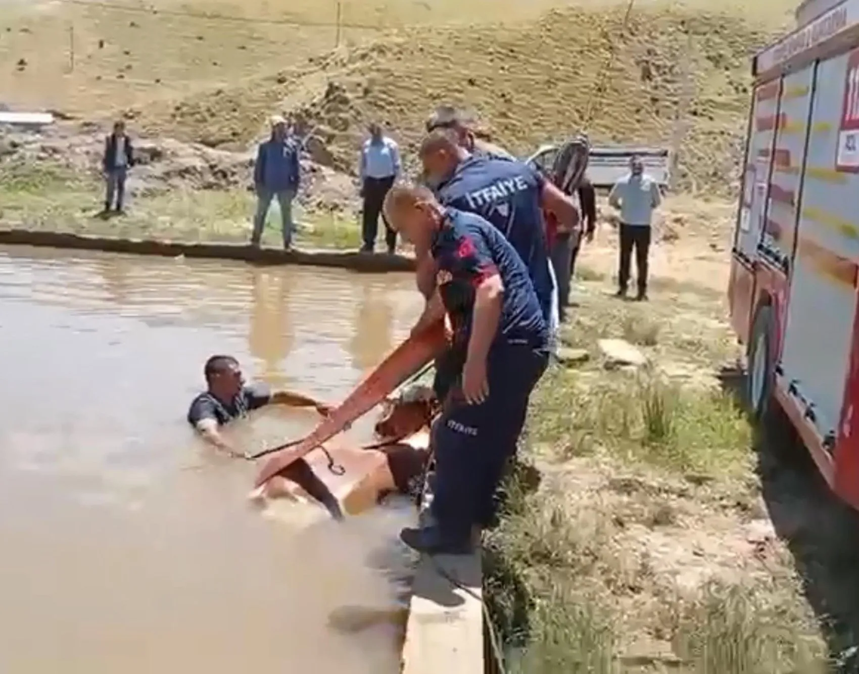Muşta çamura saplanan inek itfaiye ekiplerince kurtarıldı