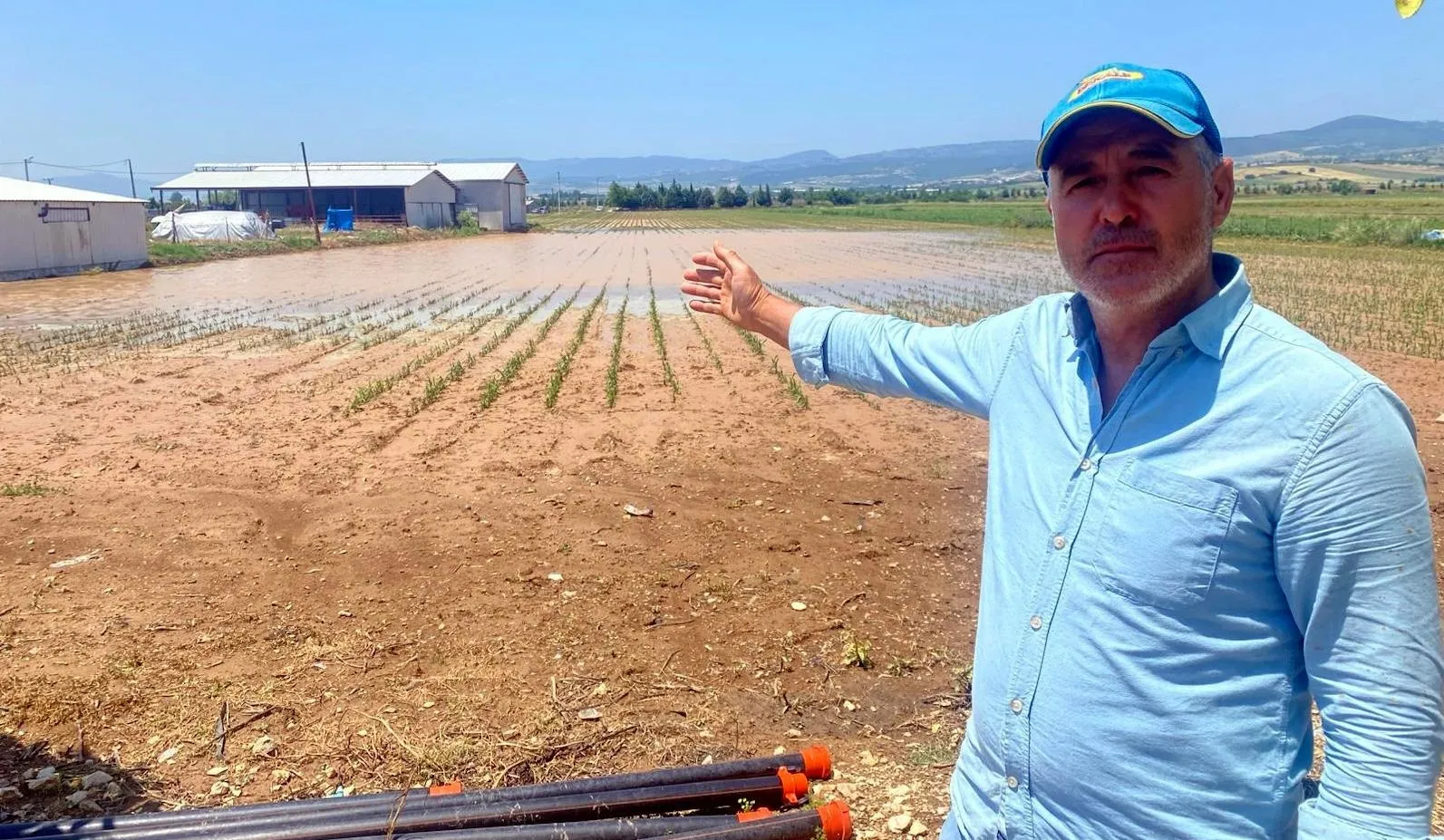 Bursa Yenişehir'de dolu ve sağanak tarımı vurdu