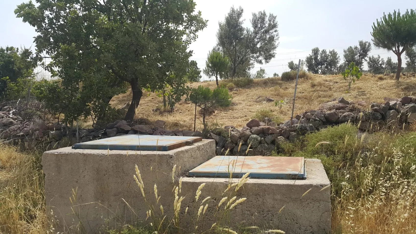 Barajlar doldu ama İzmir’in yer altı suları hala alarm veriyor