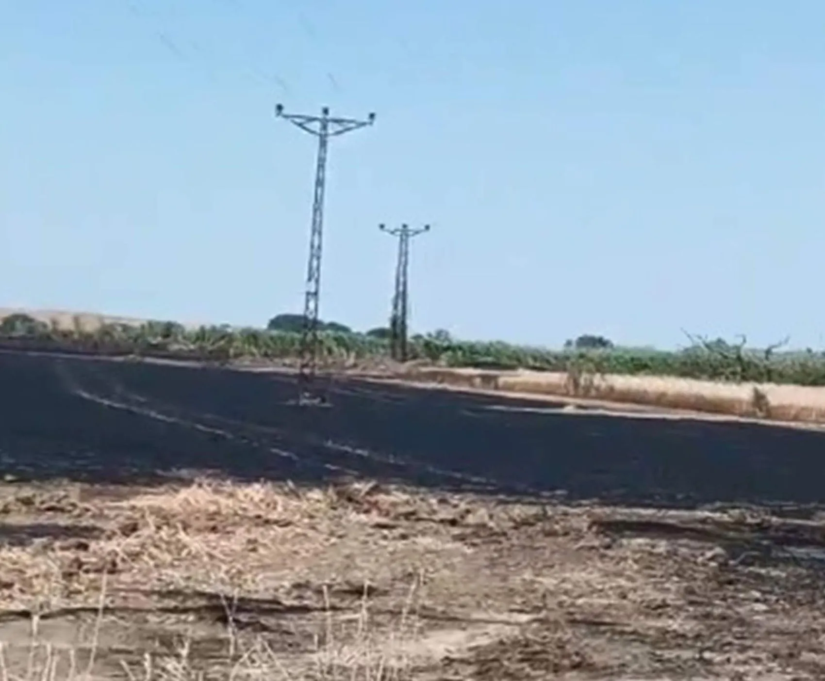 Malkara’da buğday tarlası alevlere teslim oldu