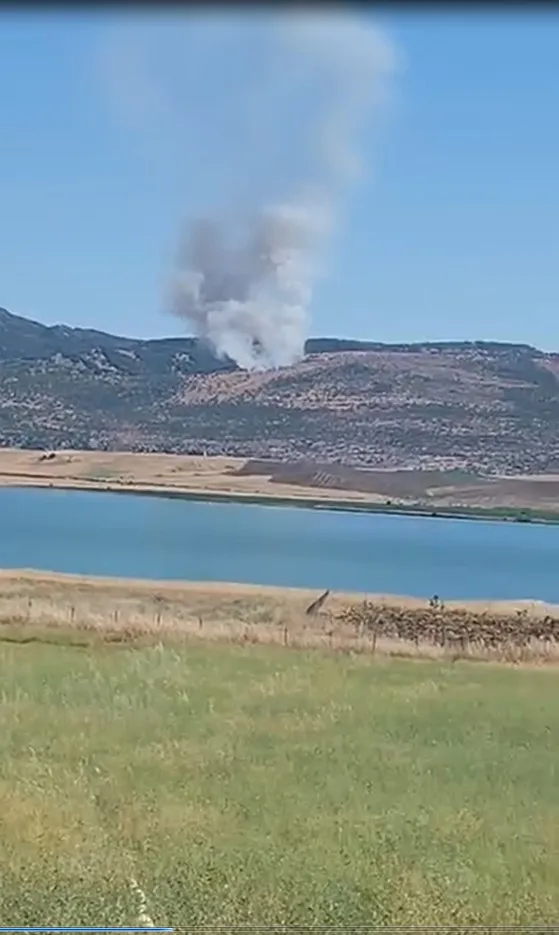 Silvan'da orman yangını ekipleri harekete geçirdi