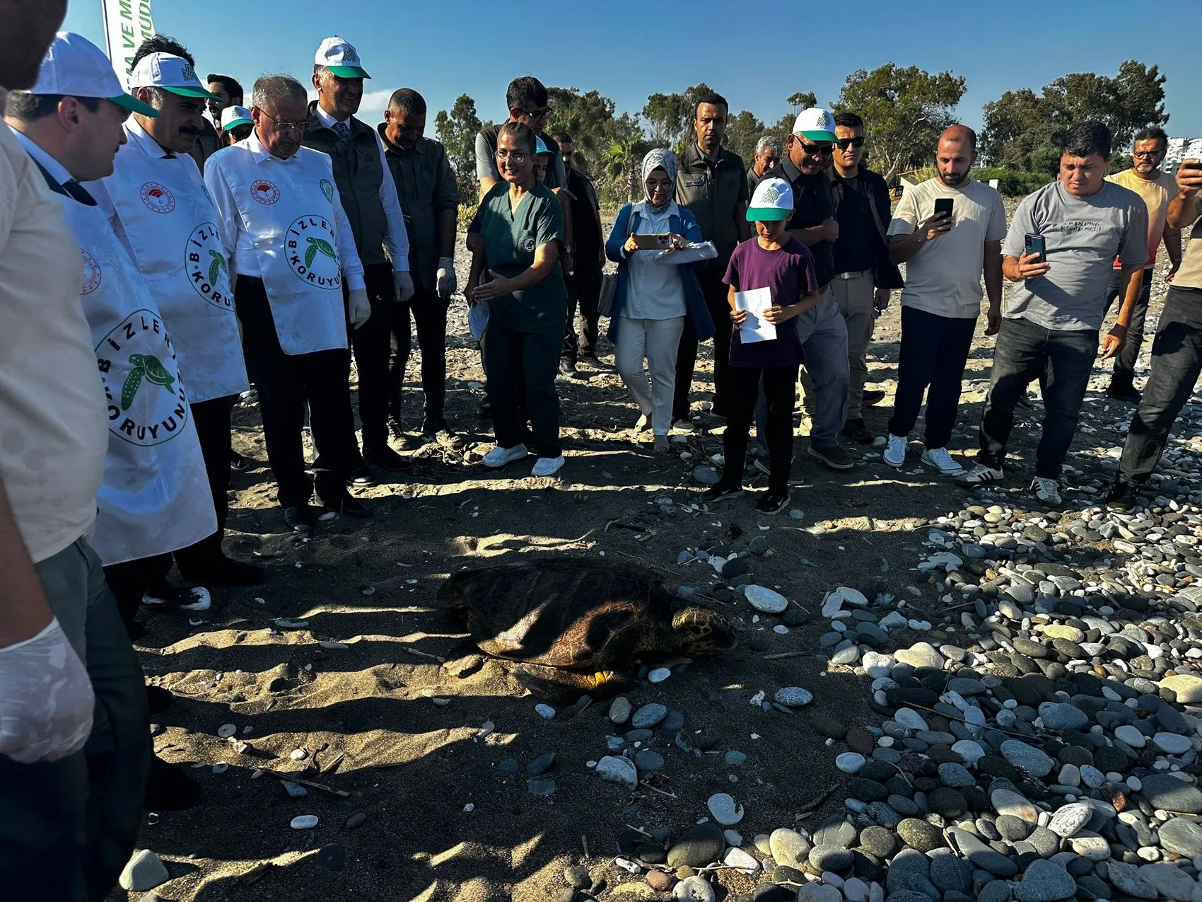 Mersin'de üç deniz kaplumbağası bir yıllık tedavinin ardından özgürlüğüne kavuştu