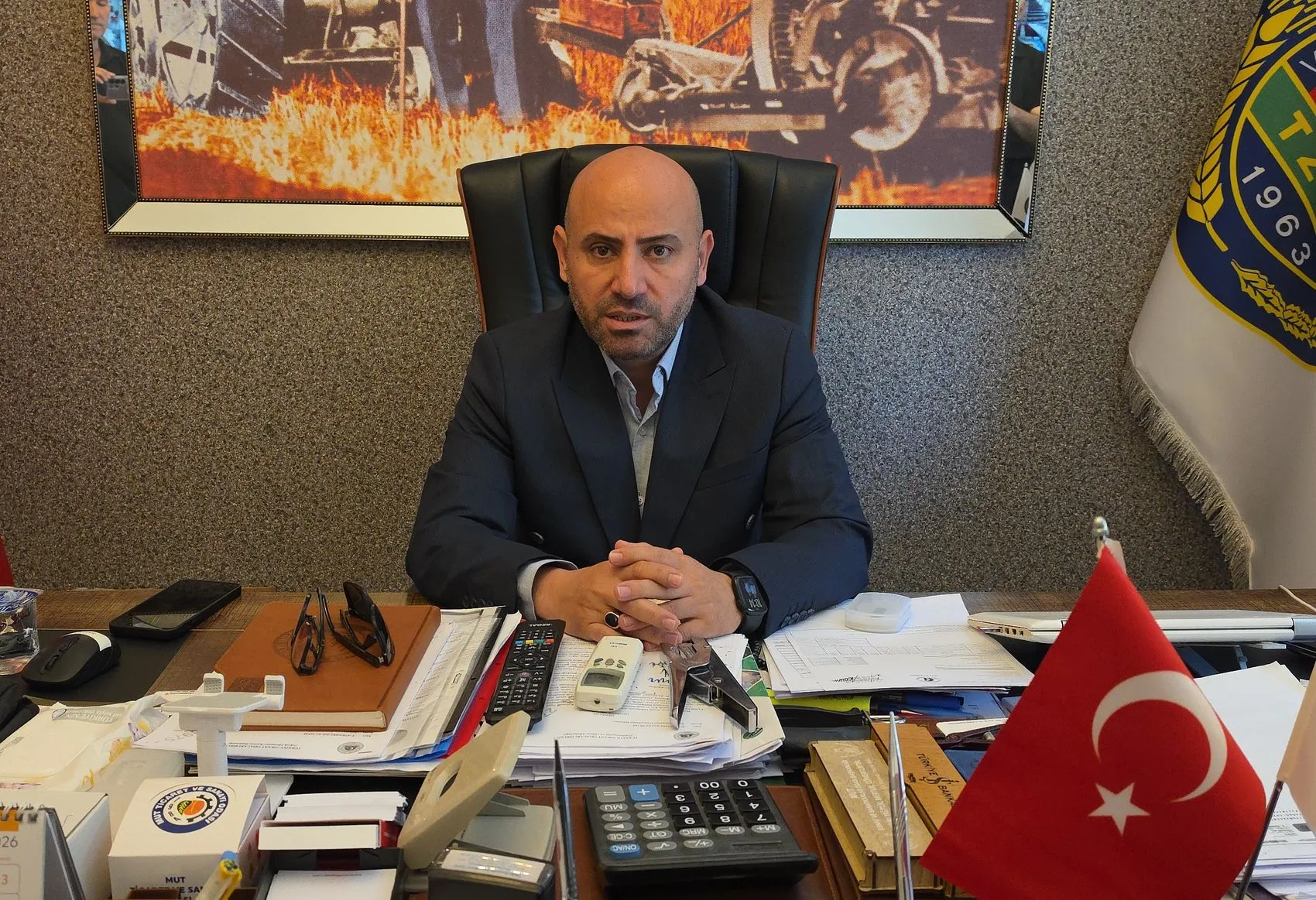 Mut kayısısında bolluk dönemi Üretici rekolteden memnun
