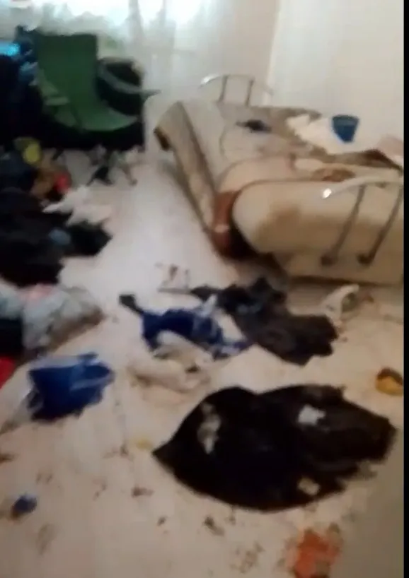 Bolu’da çöp eve dönen daireden 6 kedi kurtarıldı