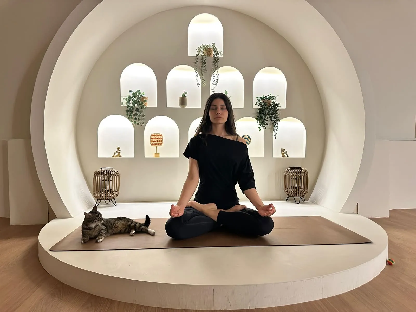 Ankaralı kadınlar stres atmak için kedilerle yoga matına çıktı
