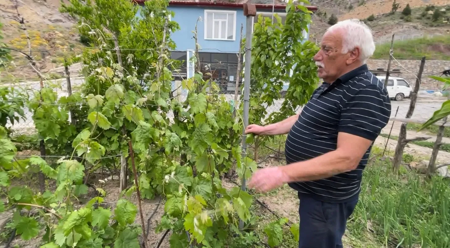 Yusufeli'nde boş vakitleri toprağa dönüştüren eğitimciler