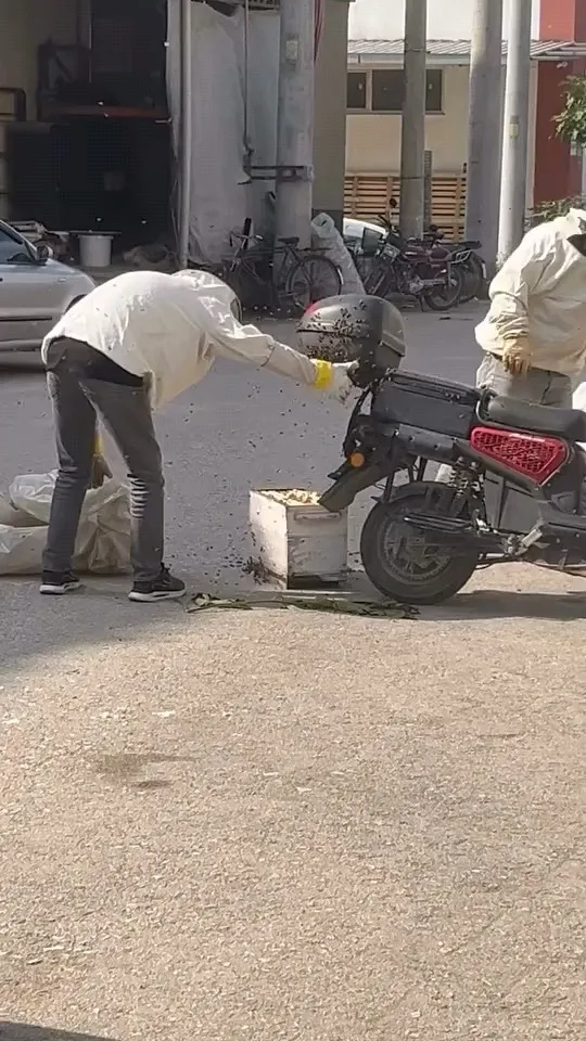 Bursa'da motosikleti ele geçiren arı sürüsü şaşırttı