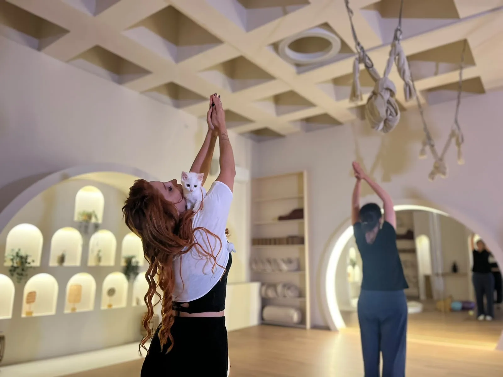 Ankaralı kadınlar stres atmak için kedilerle yoga matına çıktı