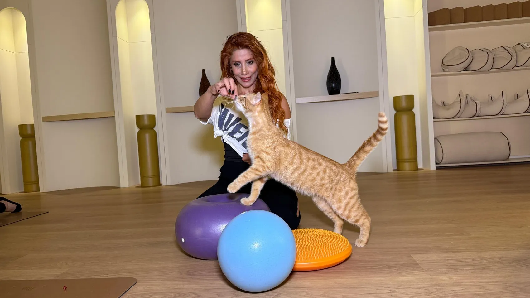 Ankaralı kadınlar stres atmak için kedilerle yoga matına çıktı