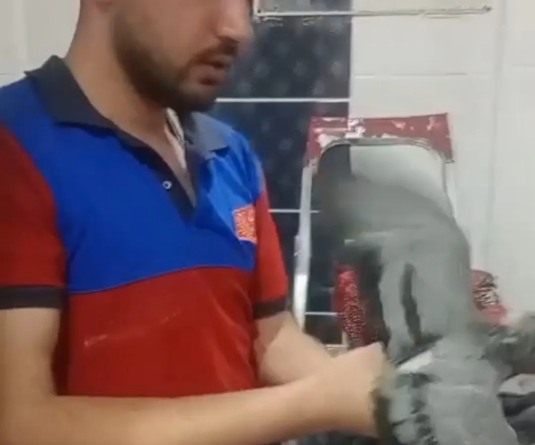 Adıyaman'da apartman boşluğunda mahsur kalan güvercini itfaiye kurtardı