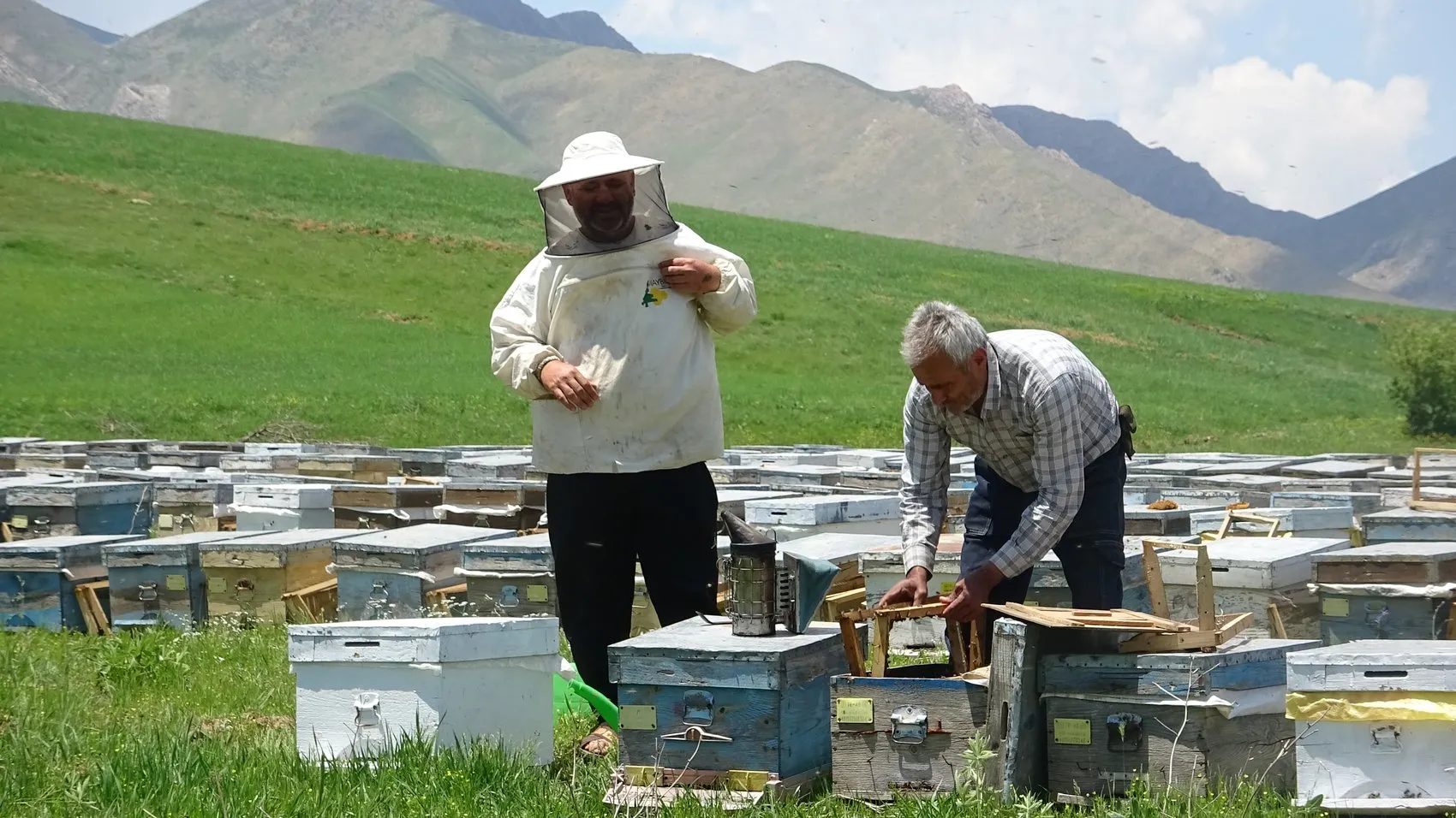 Bodrumdan Hakkari yaylalarına uzanan bal hasadı