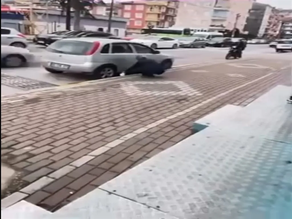 Sokak kedisine kimyasal sıkan market çalışanı beraat etti