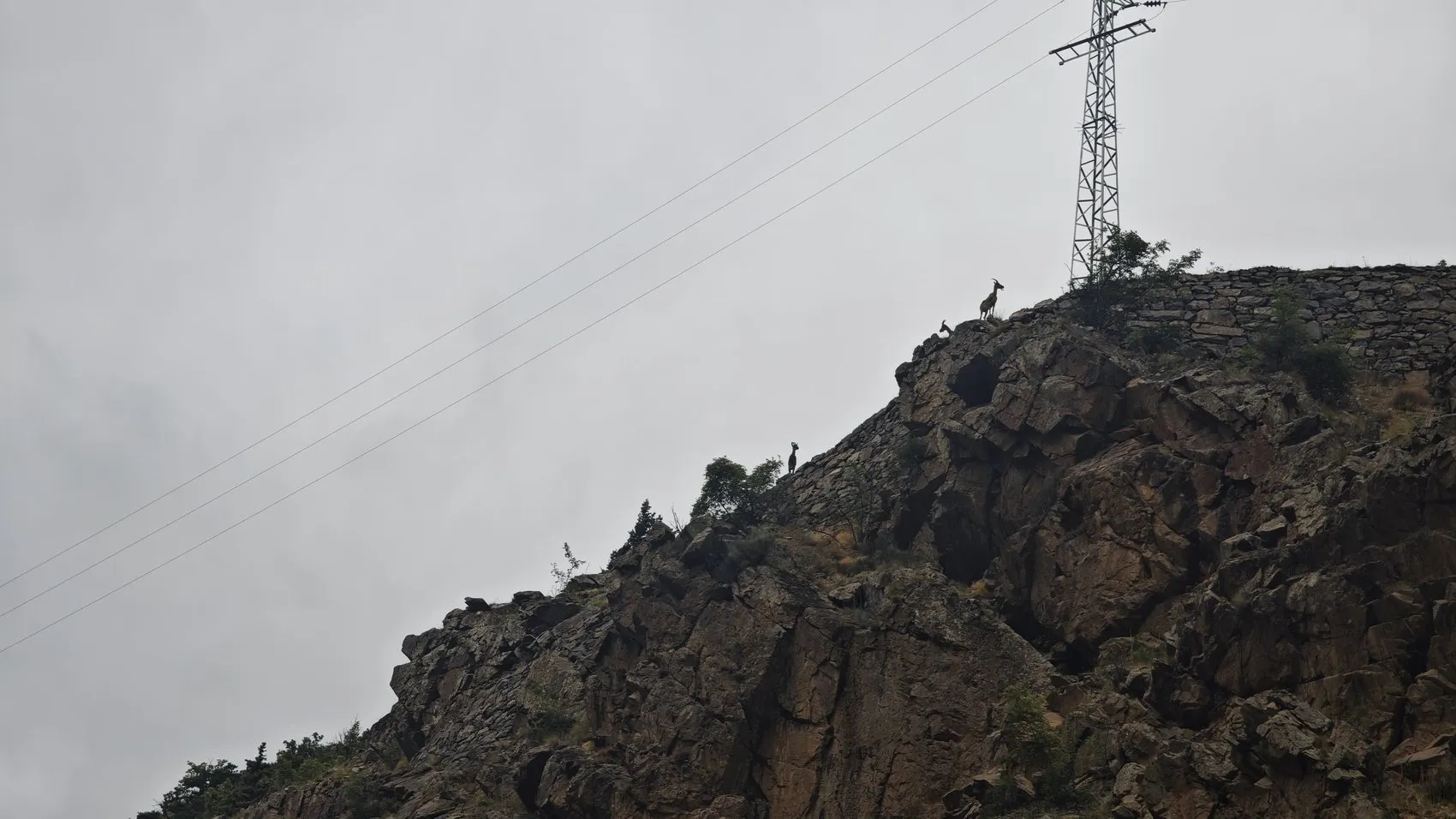 Artvin’de dereye uçan araçtaki baba ve oğul 6 gündür aranıyor