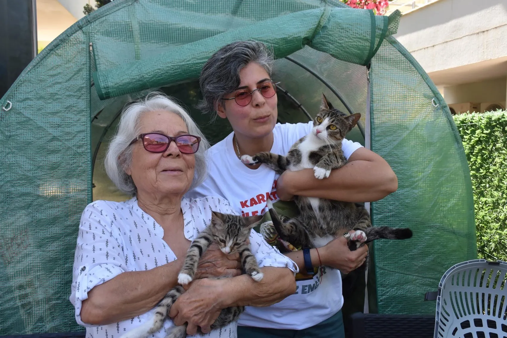 İzmir'de erkek sanılan kedi doğum yapınca herkes şoke oldu
