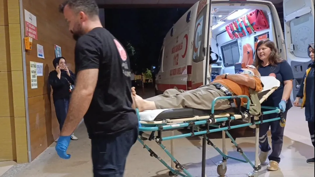 İnegöl'de erik toplarken ağaçtan düşen yaşlı adam yaralandı