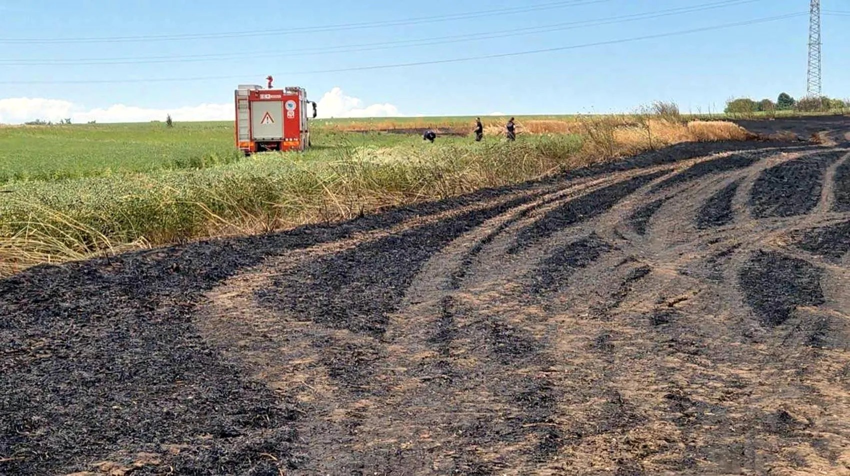 Tekirdağ'da hasat öncesi büyük yangın