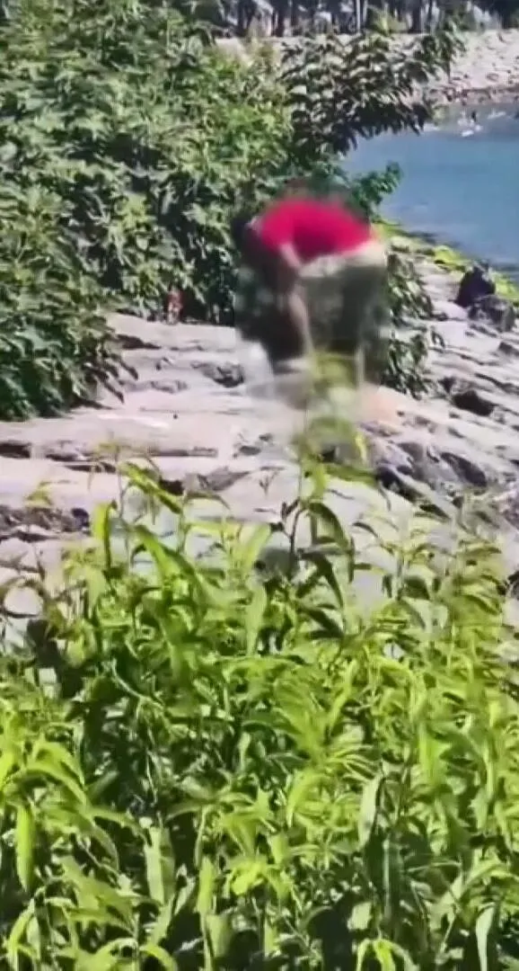 Avcılar'da köpeğe vahşice saldıran şahıs cezaevine gönderildi