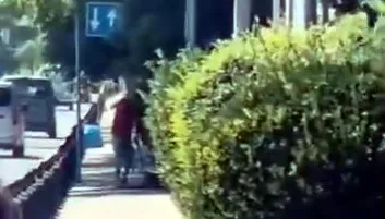 Avcılar sahilinde köpeğe şiddet anları kameraya yansıdı