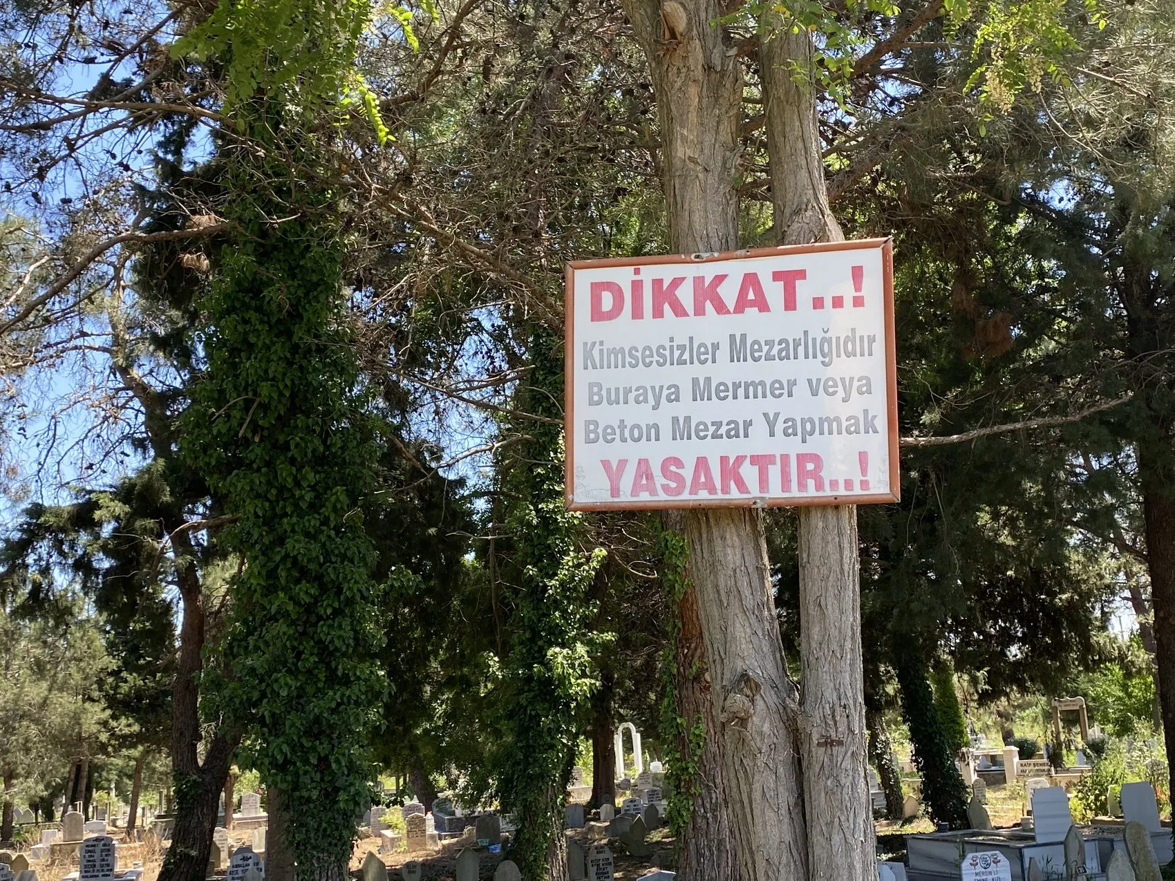 20 yıllık cinayetin sırrı aile içinden çıktı