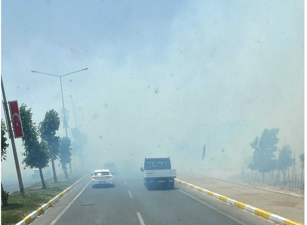 Mardin'de anız yangını köye sıçradı