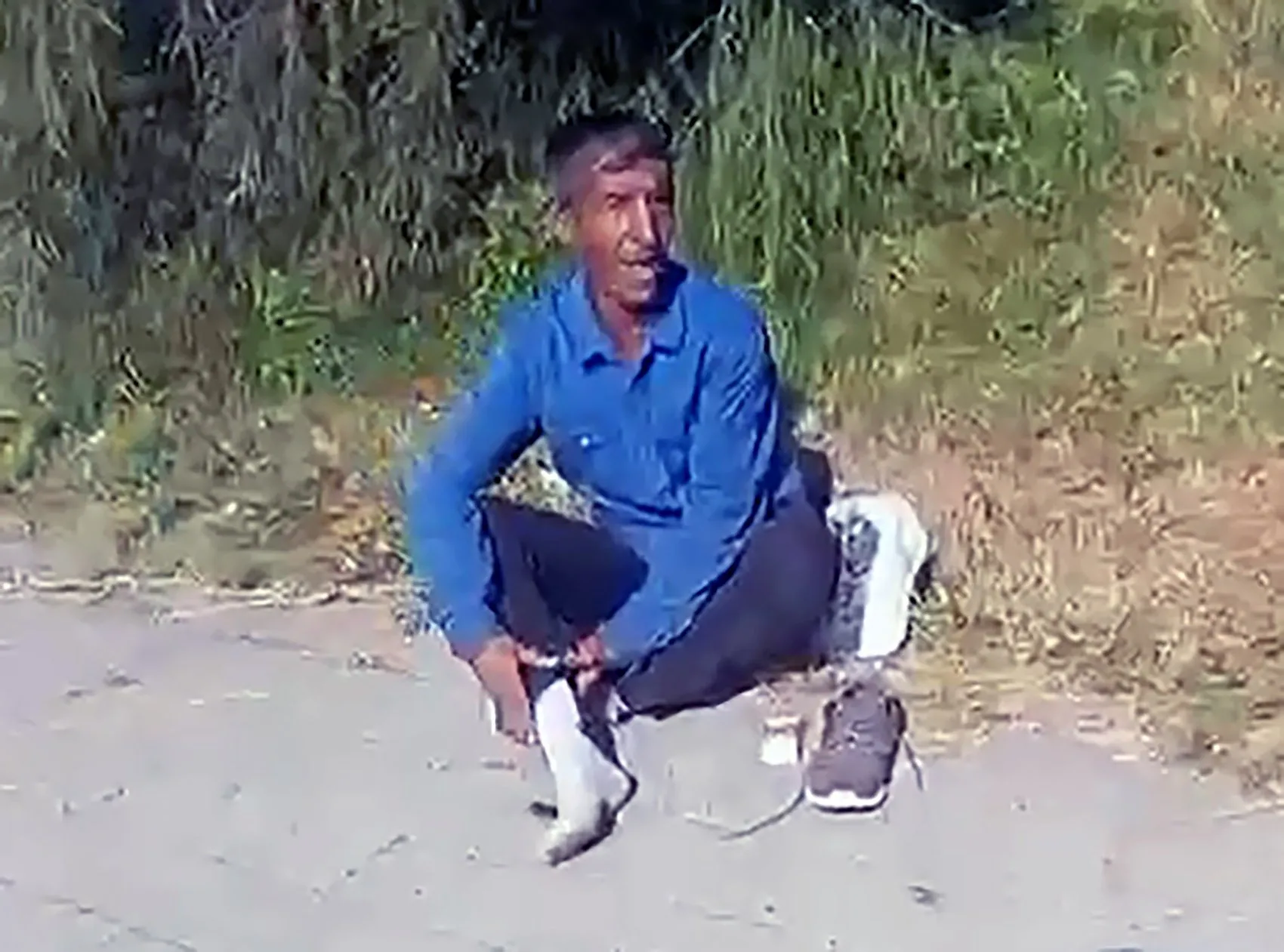 Adana'da nehir kenarında yılan vahşeti