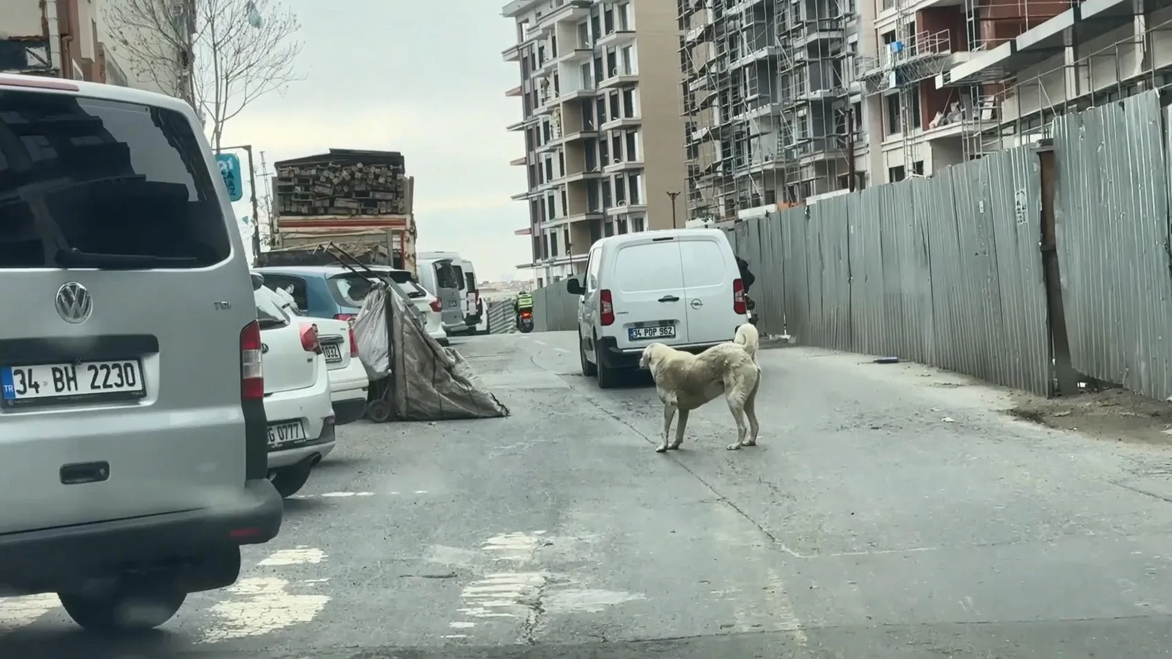 Seyrantepe’de motosikletle köpeğini koşturan sürücüye para cezası verildi