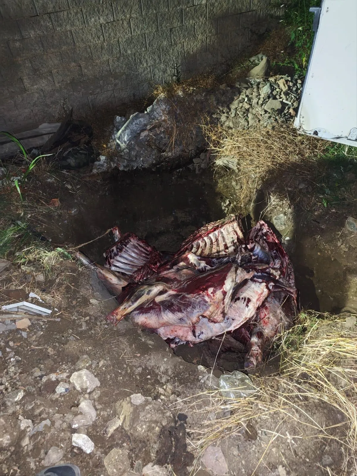 Sakarya yolunda yakalanan 1,8 ton kaçak ete imha kararı