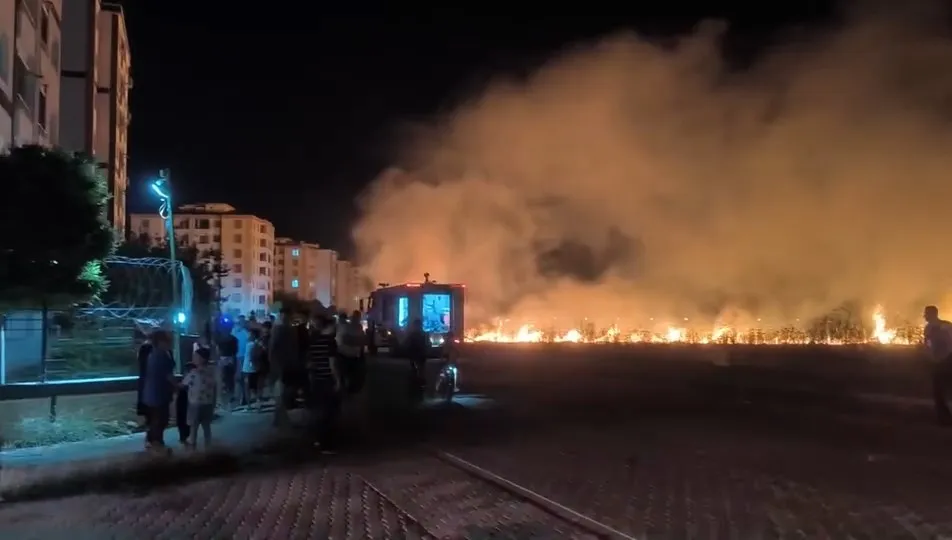 Diyarbakır Havalimanı yakınında çıkan yangın kontrol altına alındı