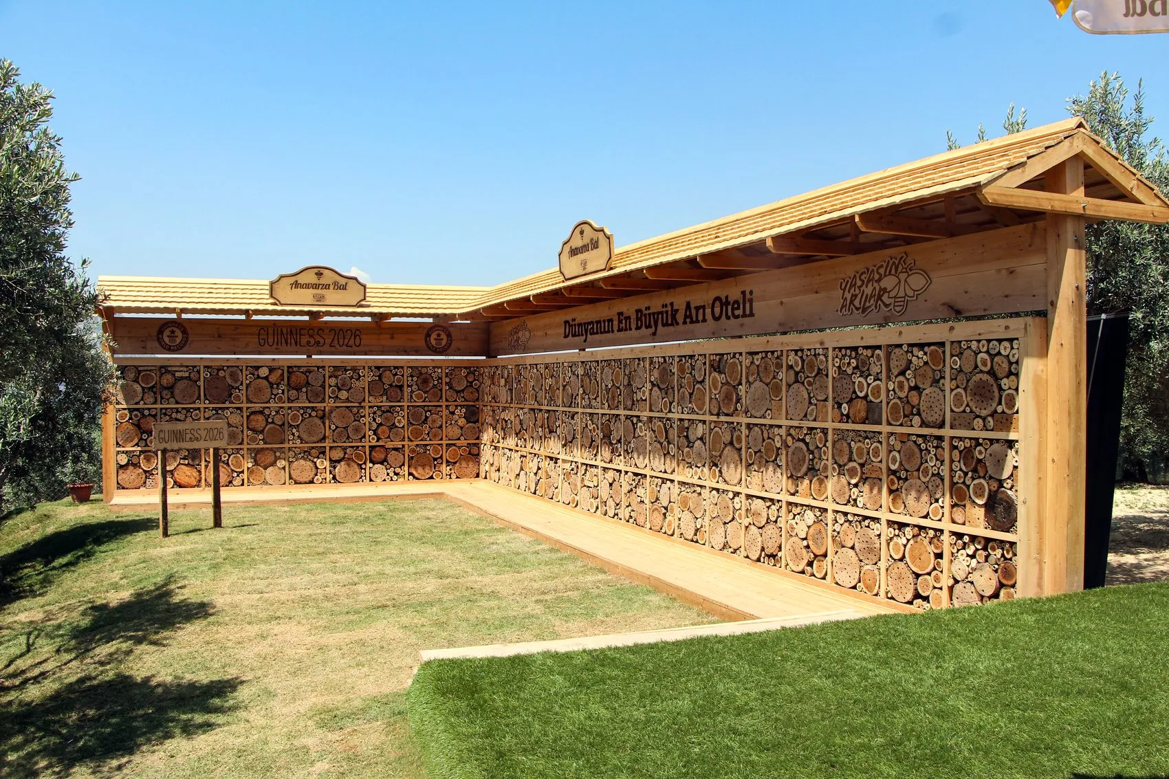 Adana'da arılar için devasa beş yıldızlı otel kuruldu