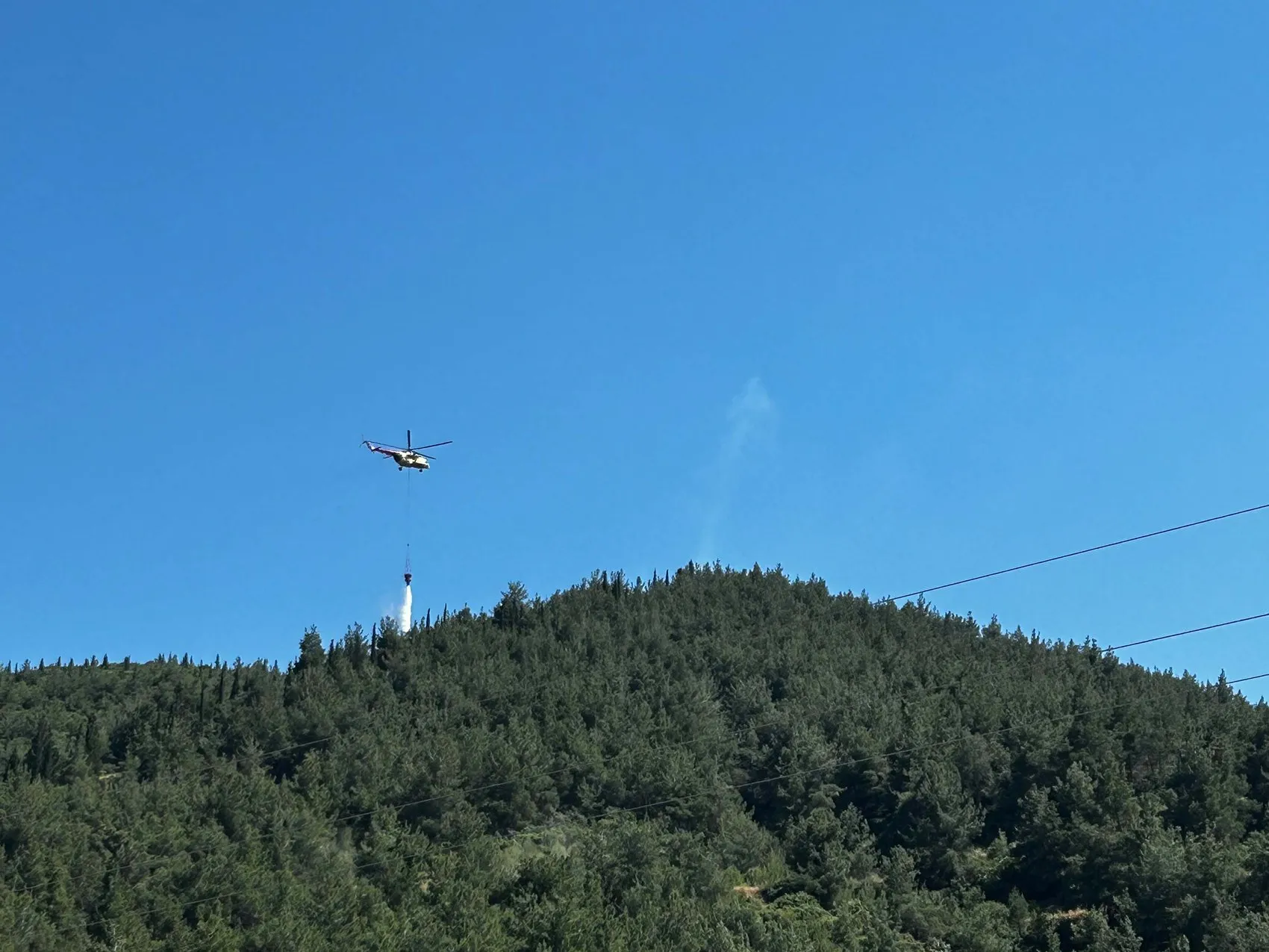Manisa Turgutlu'daki orman yangını kısa sürede söndürüldü