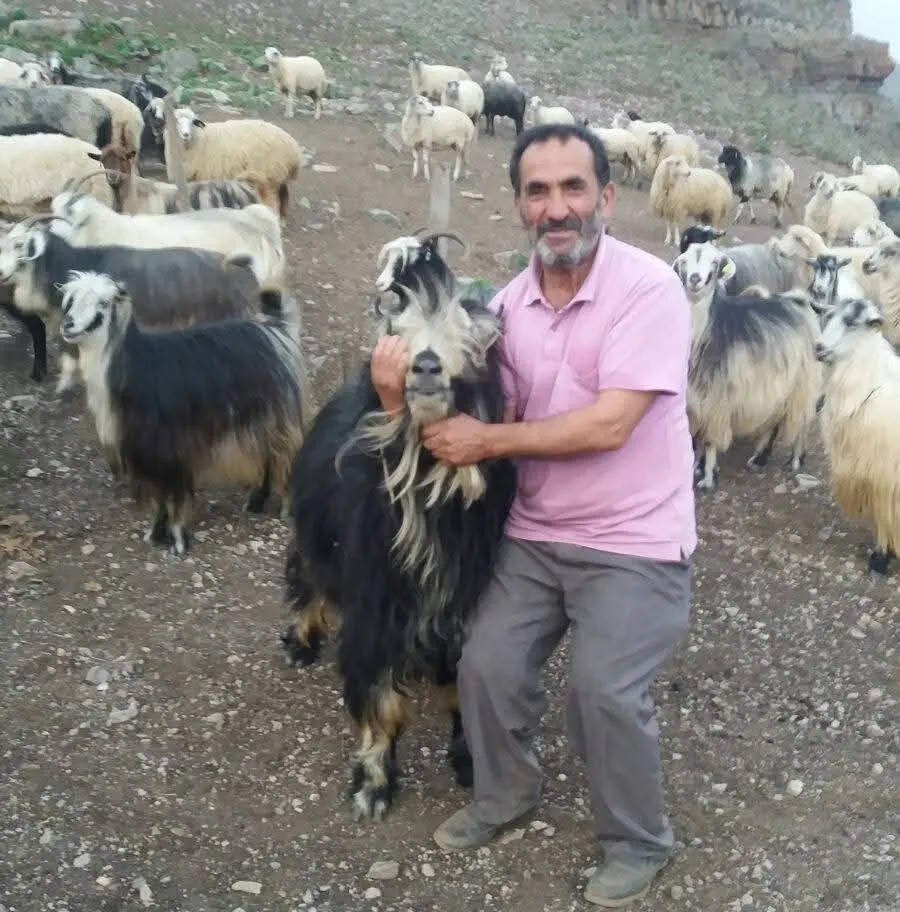 Artvin’de dereye uçan kamyonetteki baba ve oğul aranıyor