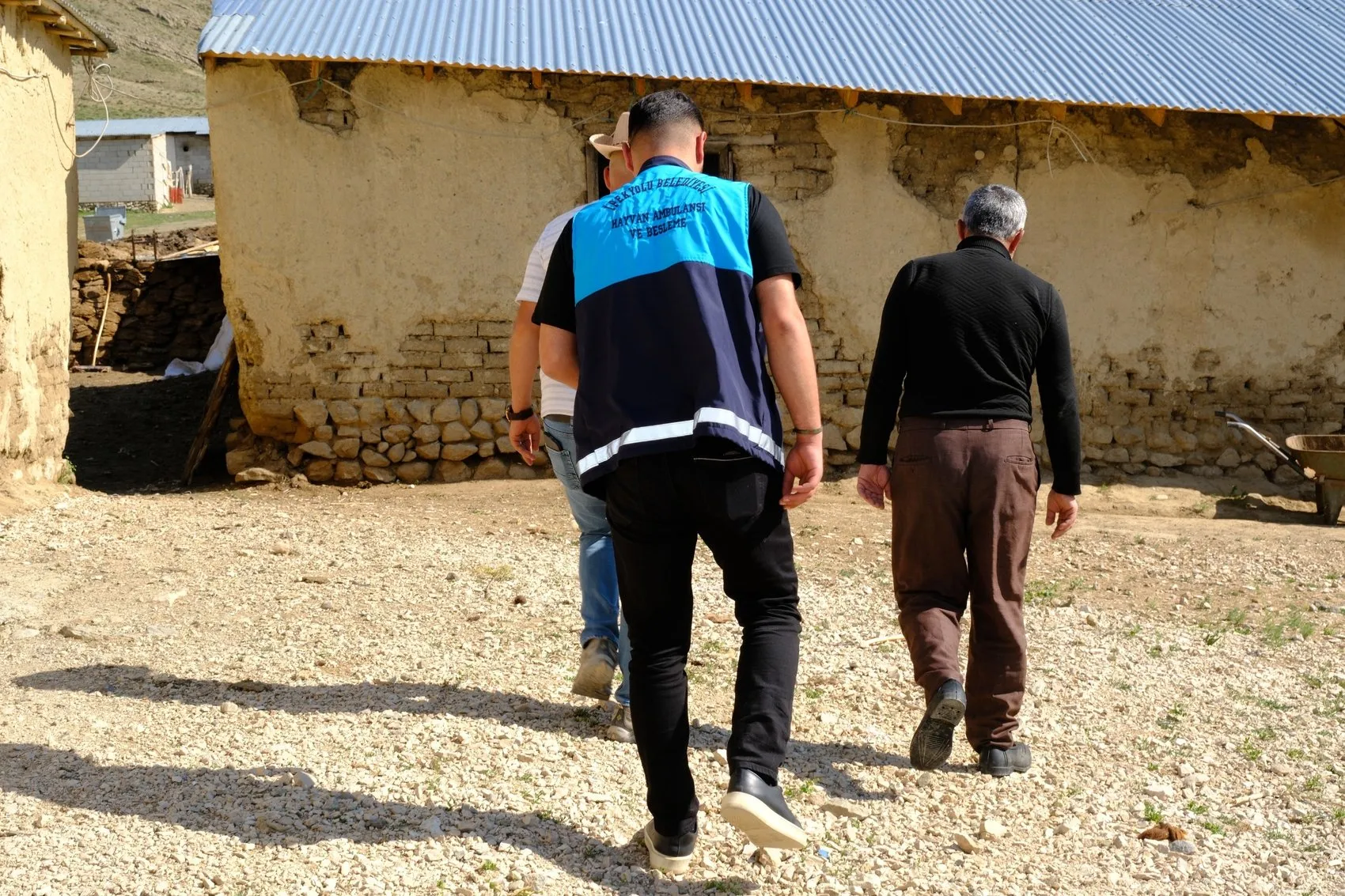 Van'da bir mahalle kuduz riski nedeniyle karantinaya alındı