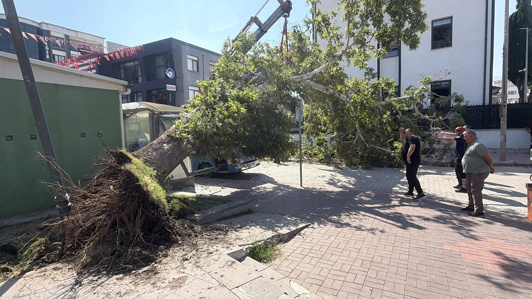 Osmaniye'de durakta bekleyen otobüsün üzerine ağaç devrildi