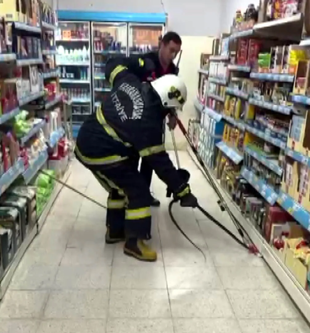 Andırın'da market rafında yılan paniği