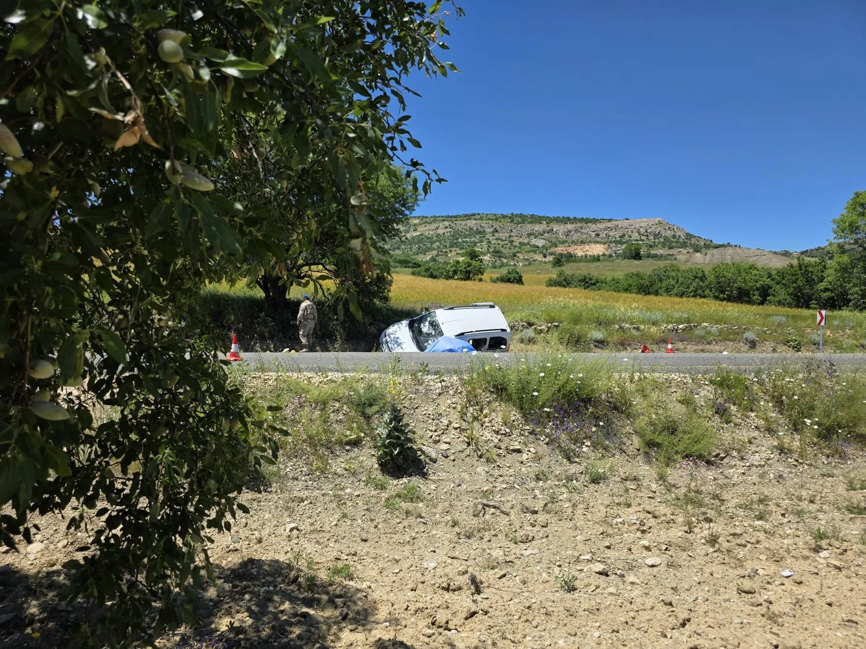 Ergani'de arazi kavgası ölümle bitti üç kişi tutuklandı
