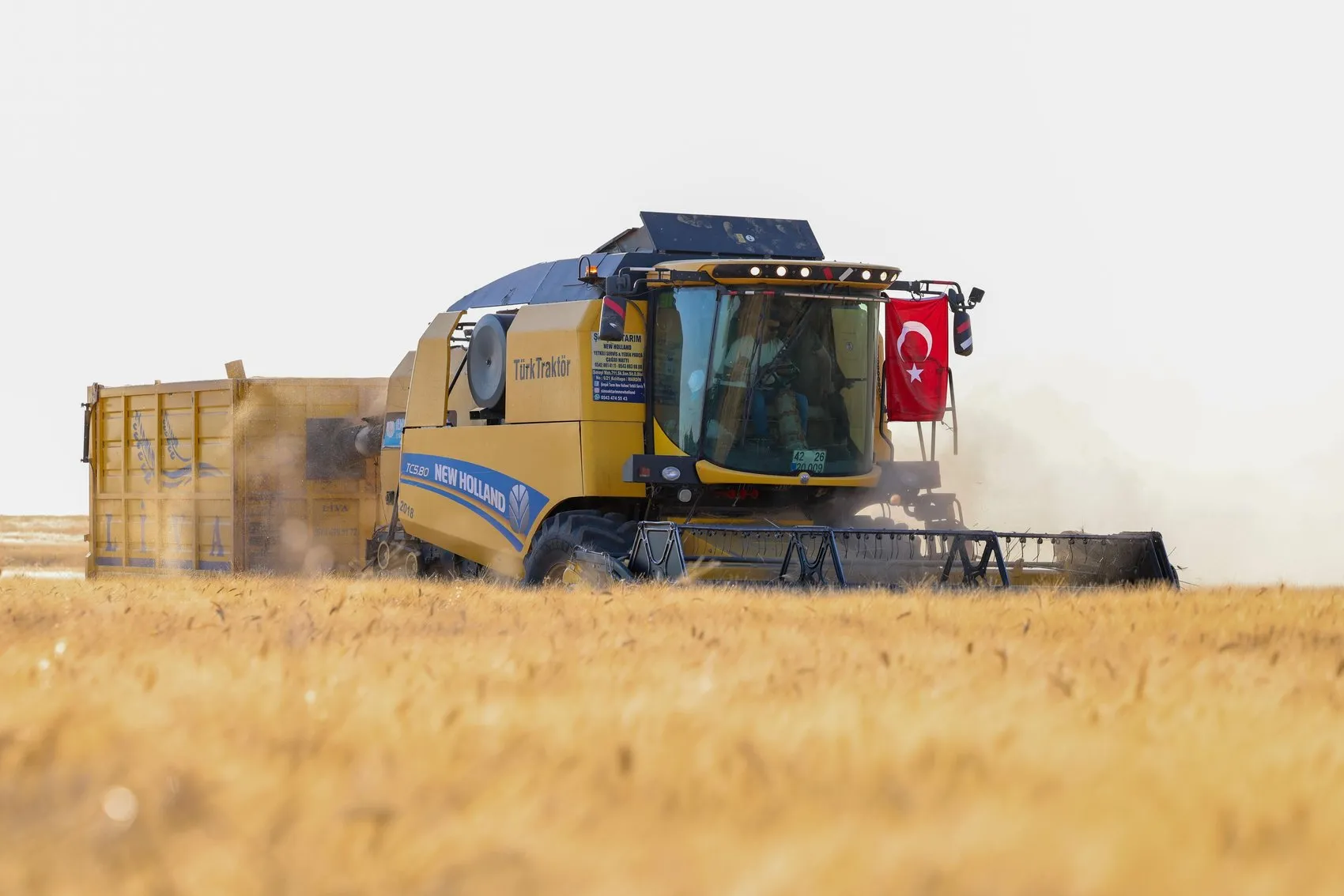 Mardin Ovası’nda buğday zamanı Çiftçinin yüzü gülüyor