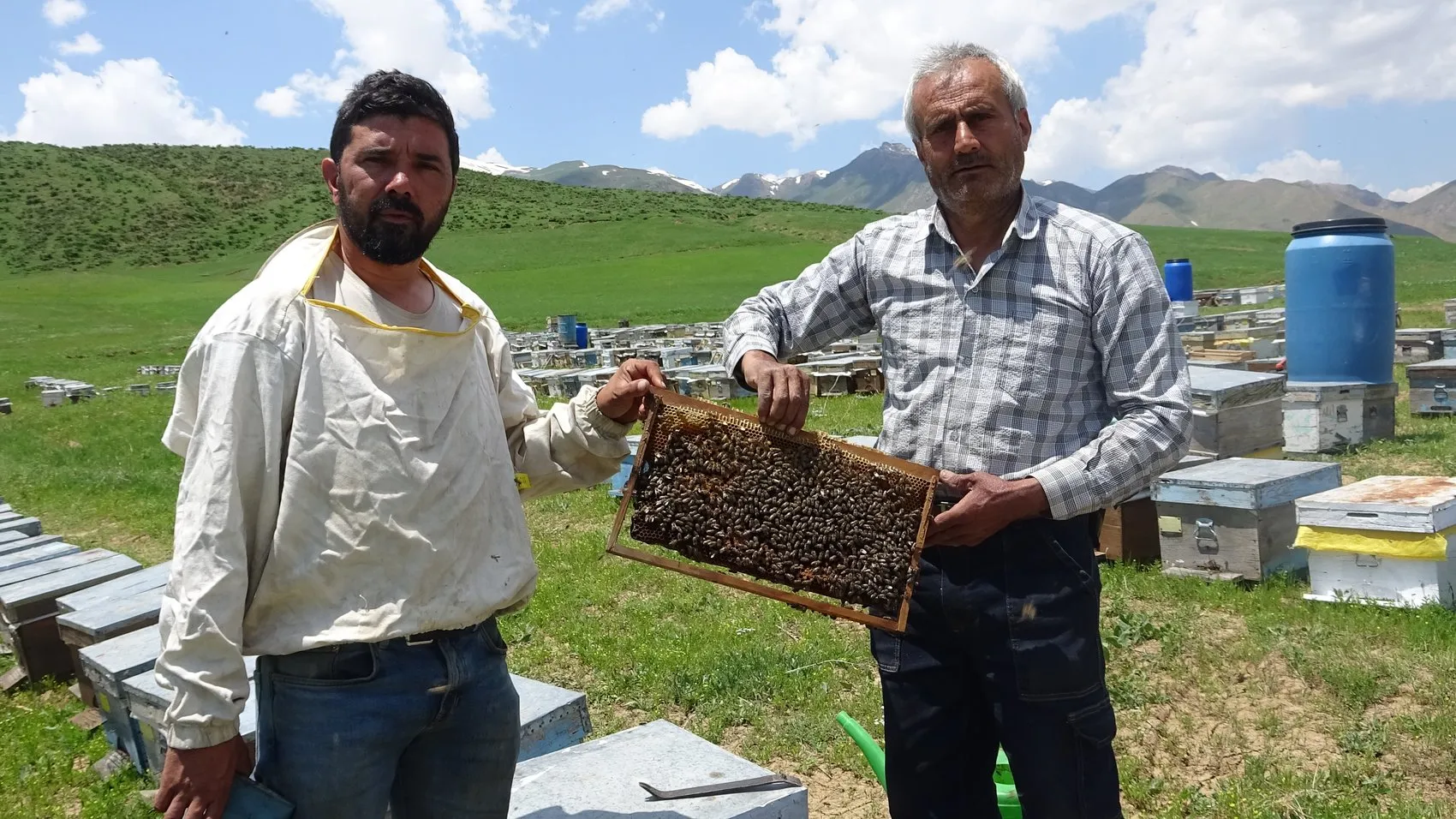 Bodrumdan Hakkari yaylalarına uzanan bal hasadı