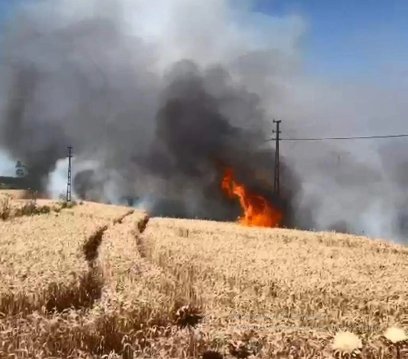 Malkara’da buğday tarlası alevlere teslim oldu