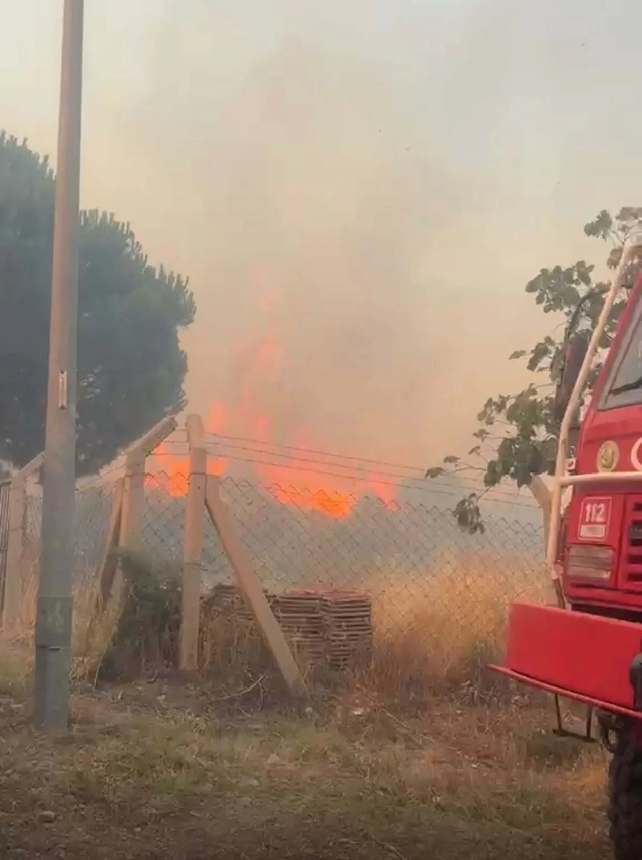 Dikili'de alevler evlerin kapısına dayandı