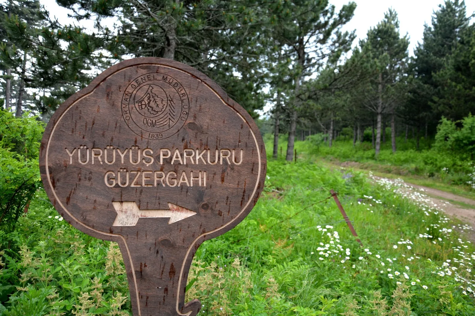Türkiye'nin doğa rotaları genişliyor