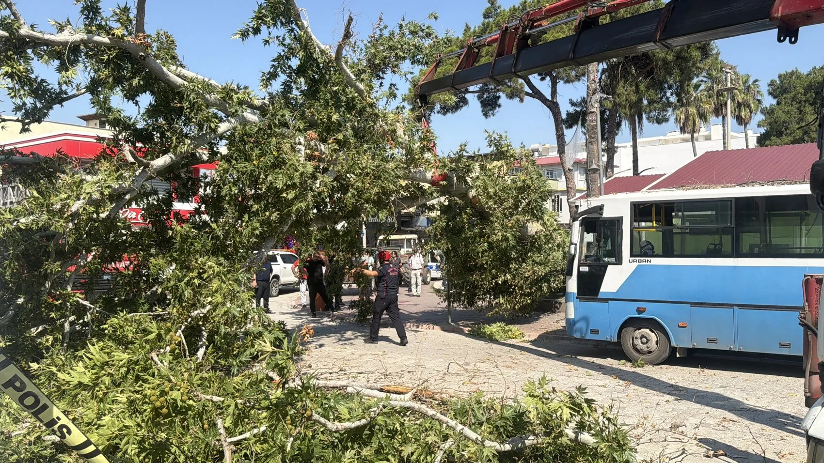 Osmaniye'de durakta bekleyen otobüsün üzerine ağaç devrildi