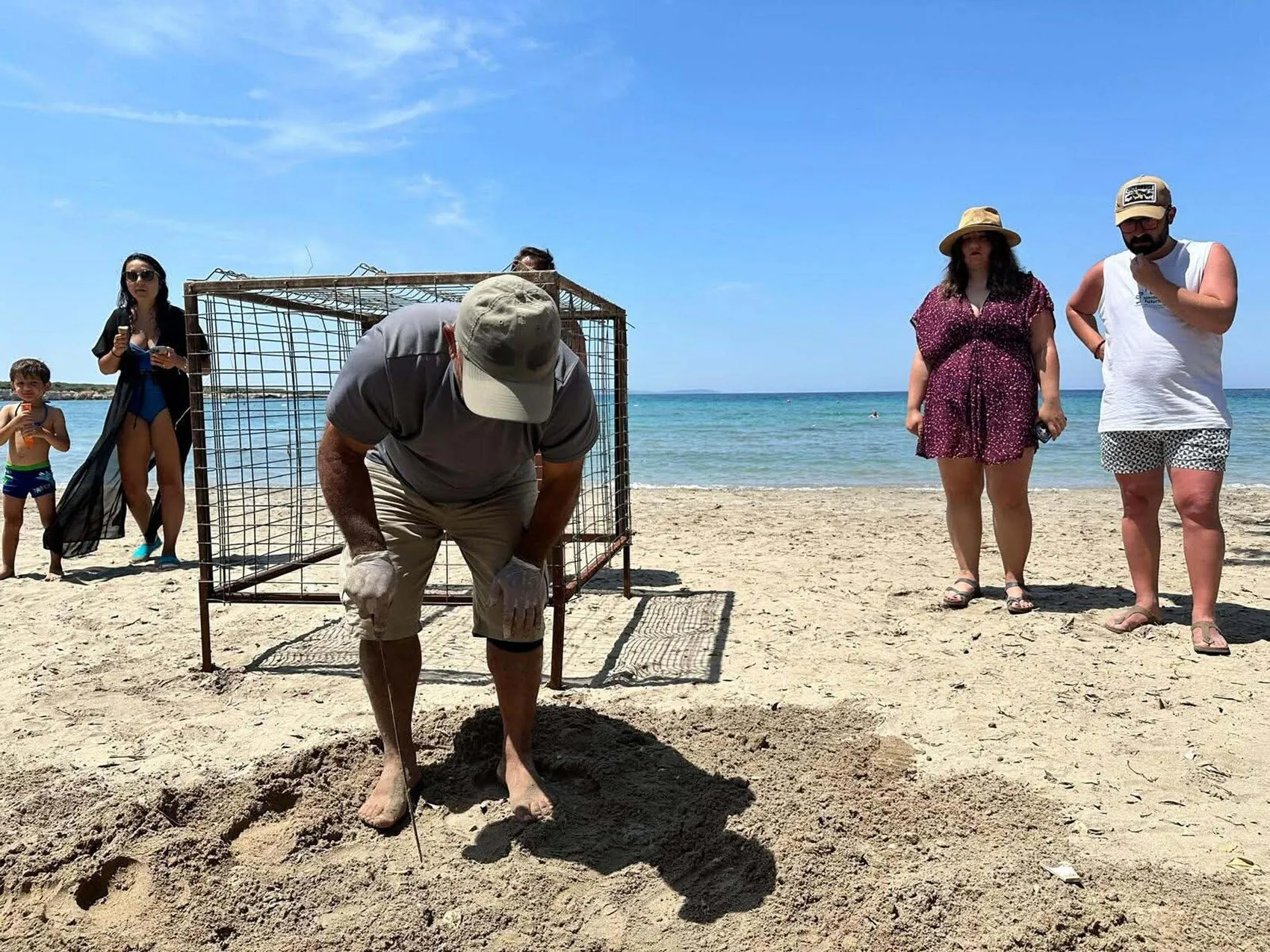 Didim sahillerine sürpriz ziyaretçi