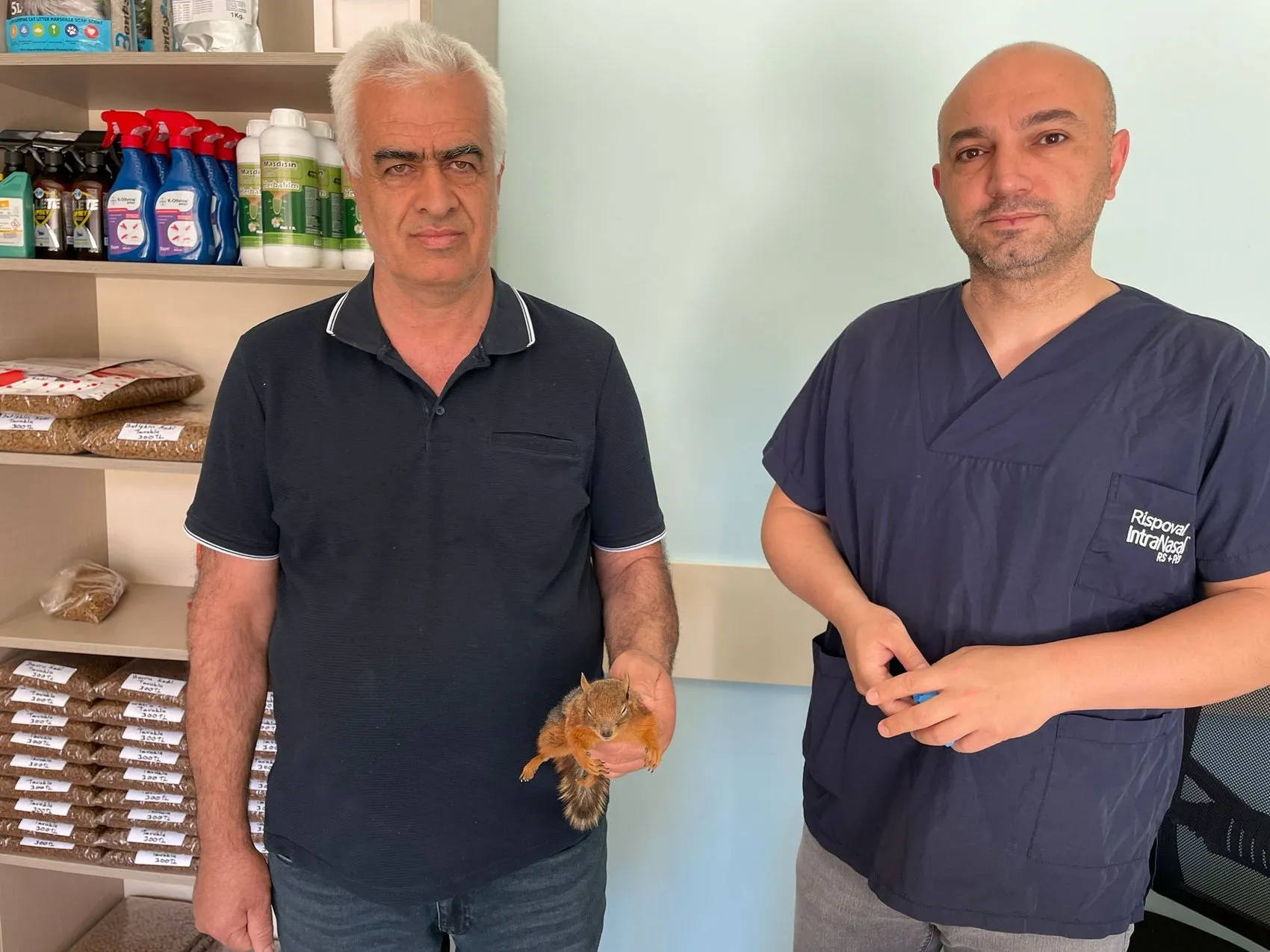 Artvin’de bir sürücünün sincap için gösterdiği duyarlı çaba