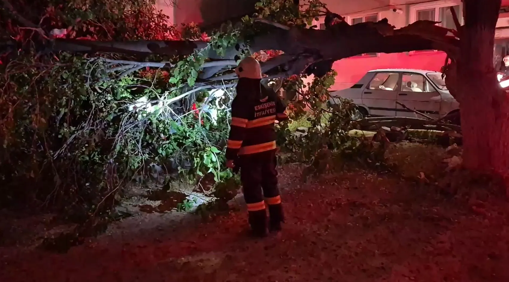 Eskişehir’de devrilen dut ağacı iki aracı hurdaya çevirdi
