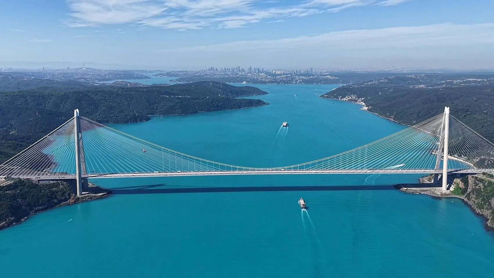 İstanbul Boğazı turkuaza büründü yunuslar görsel şölen sundu