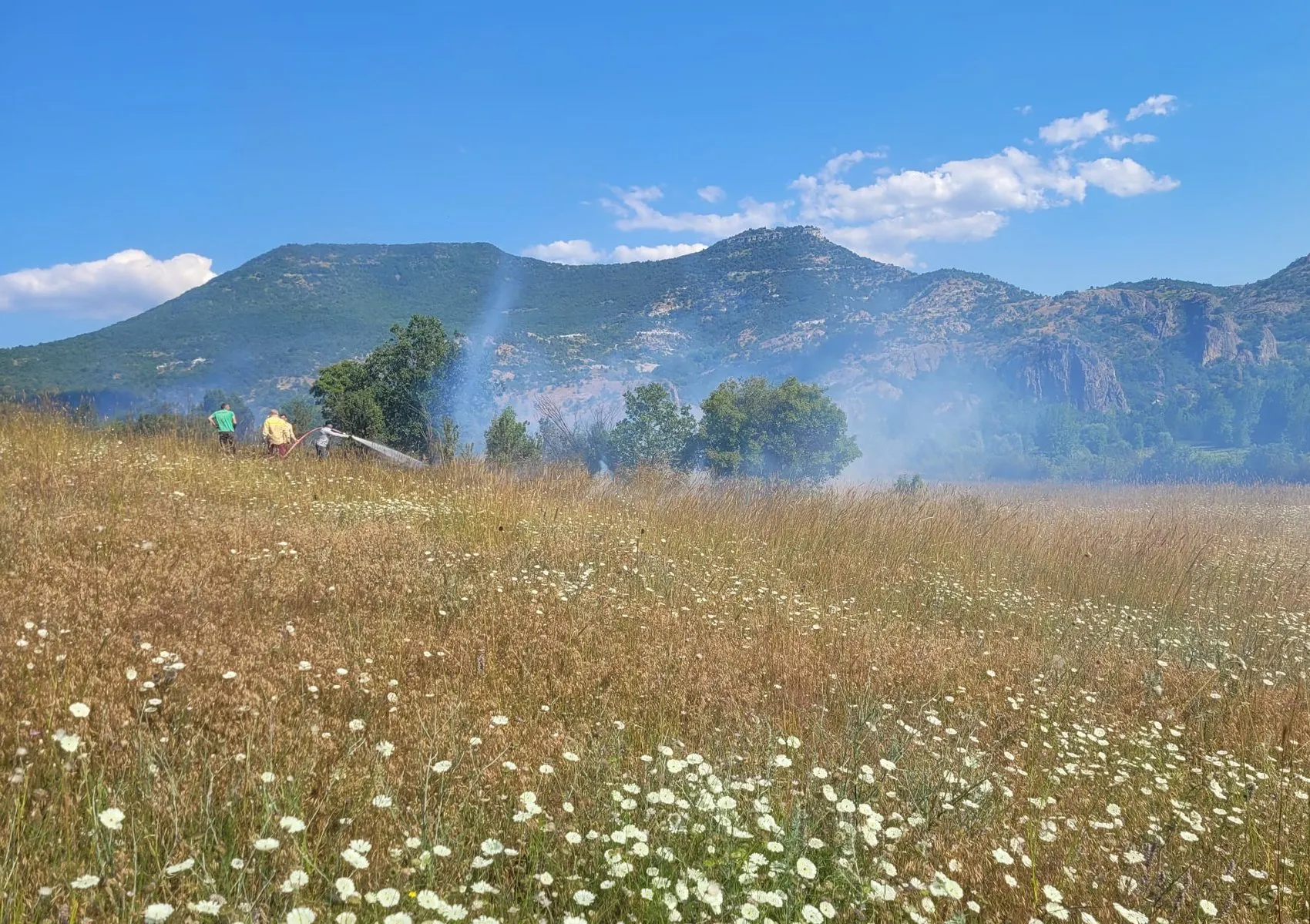 Domaniç'te orman yangını korkusu havadan müdahale ile önlendi