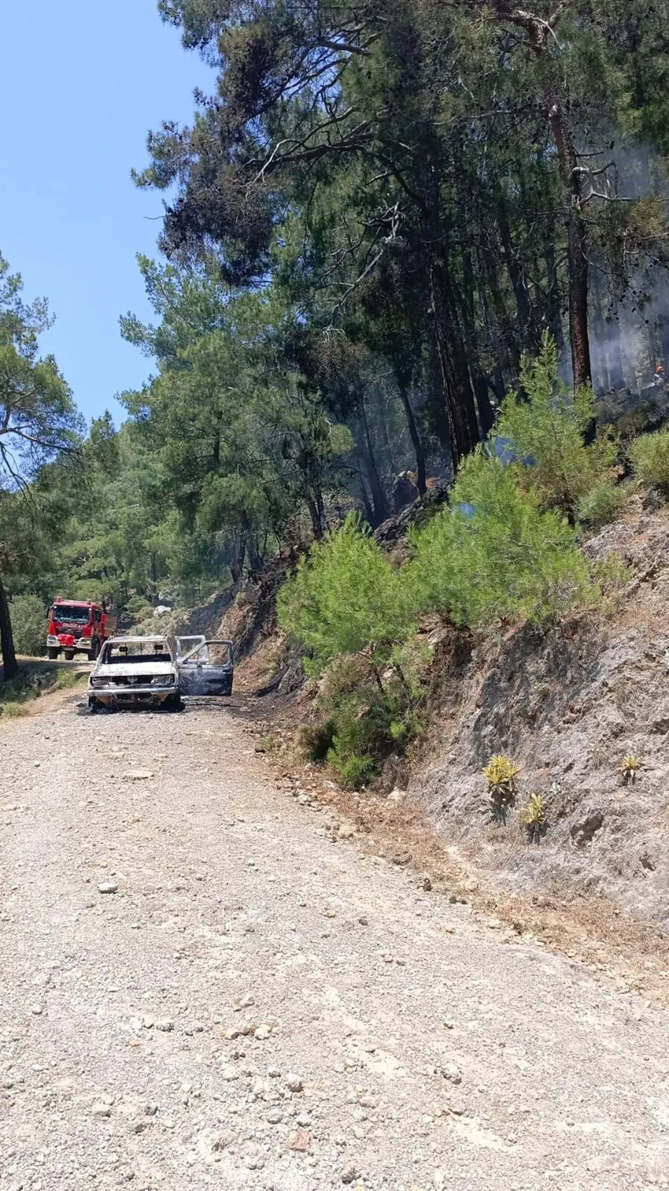 Fethiye’de kamyonet yangını ormana sıçradı