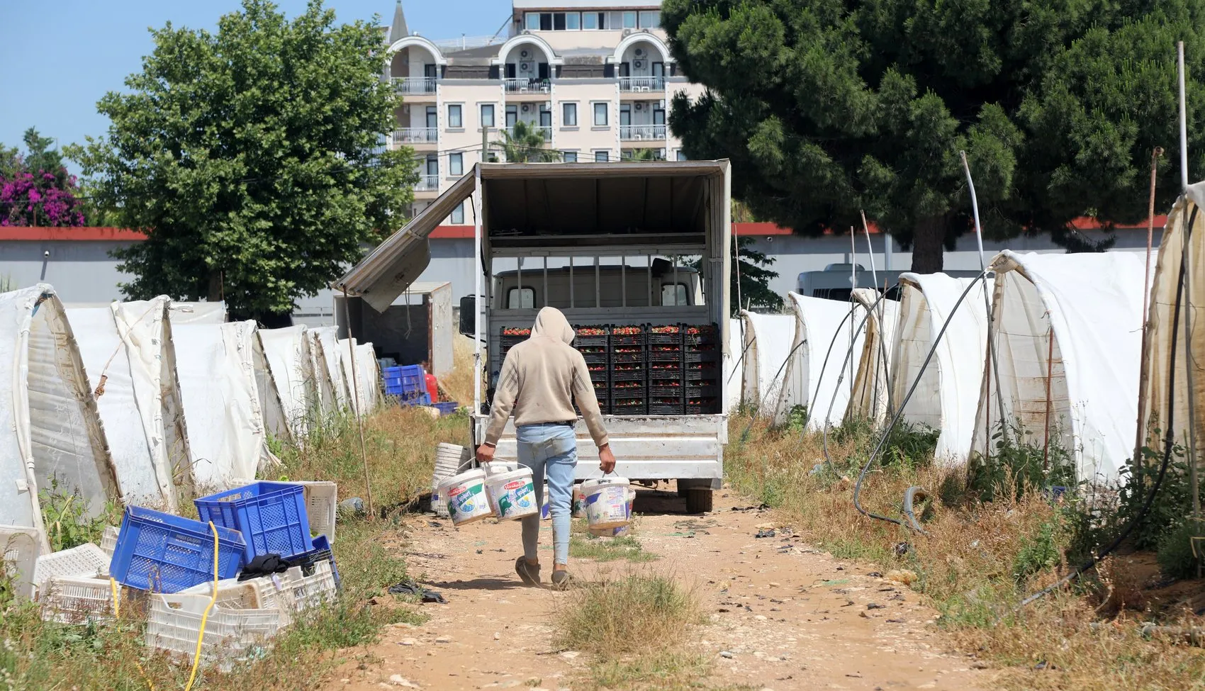 Antalya çileğinde makas açıldı Halde 30 lira markette 150 lira