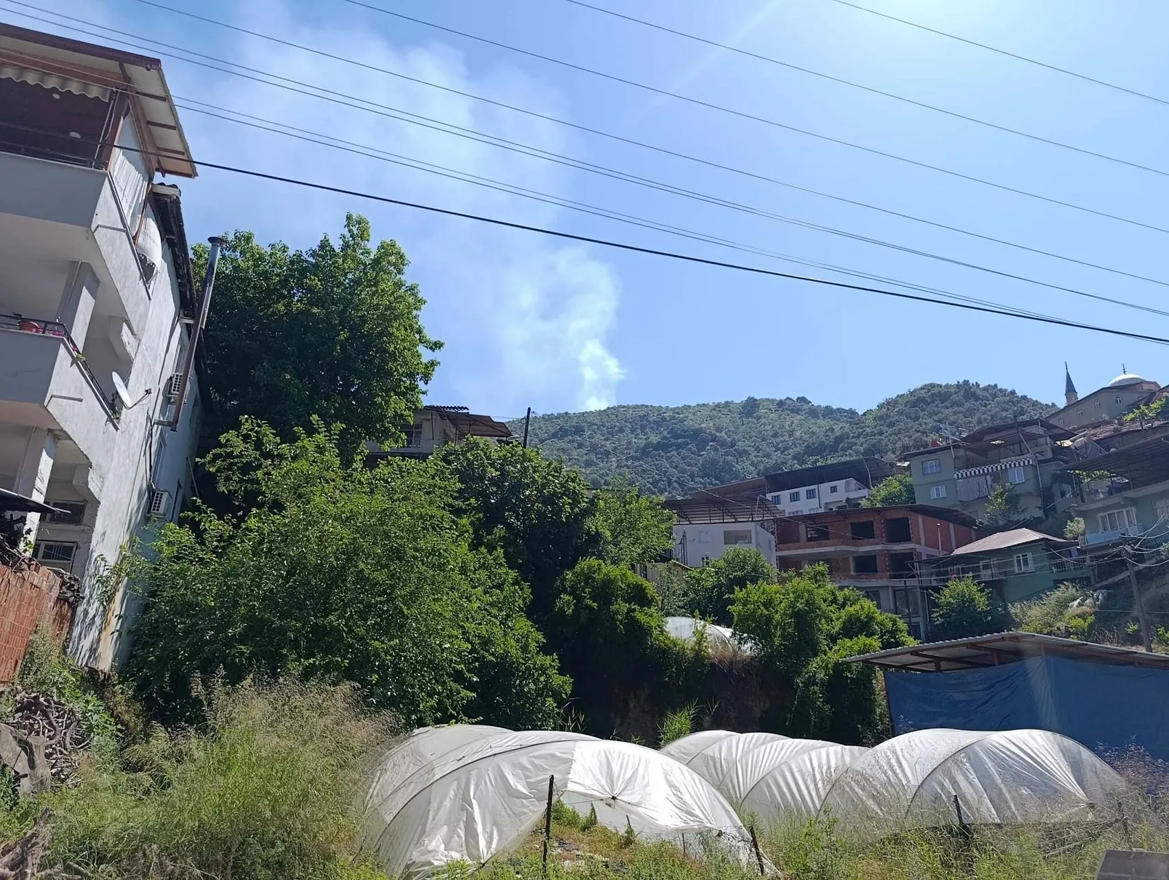 Nazilli'de bir öğle yemeği incir bahçesini küle çevirdi